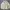 Nike Streetwear Sportswear Windbreaker Pria Cream