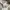Nike Streetwear Sportswear Windbreaker Pria cream photo 8
