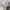 Streetwear Luxury Sweater Pria white photo 5