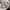 Nike Streetwear Sportswear Windbreaker Pria white black photo 5