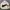 Nike Streetwear Sportswear Windbreaker Pria white black photo 1