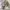 Nike Streetwear Sportswear Windbreaker Pria white black photo 6