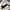 Nike Streetwear Sportswear Windbreaker Pria white black photo 2