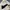 Nike Streetwear Sportswear Windbreaker Pria White Black