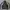 Nike Streetwear Sportswear Windbreaker Pria black photo 1
