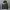 Nike Streetwear Sportswear Windbreaker Pria black photo 4