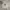 Dickies Minimalist Hoody Pria gray photo 1