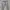 Nike Streetwear Casual Hoody Pria gray photo 6