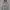 Nike Streetwear Casual Hoody Pria gray photo 1