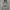 Nike Streetwear Casual Hoody Pria Gray