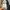 Nike Streetwear Casual Hoody Pria multicolor photo 4