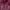 GAP Casual Hoody Pria purple photo 2