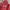 GAP Casual Hoody Pria red photo 2