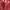 GAP Casual Hoody Pria red photo 5