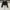ZARA Minimalist Casual Blazer Wanita black photo 1
