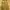 Marni Luxury Grunge Wide leg jeans Wanita yellow photo 4