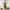 Marni Luxury Grunge Wide leg jeans Wanita yellow photo 6
