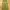 Marni Luxury Grunge Wide leg jeans Wanita yellow photo 3