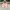 Cottagecore Coquette Cami Top Wanita Pink