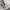 Avirex Vintage Casual T-shirt Pria white photo 6