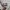Big John Vintage Streetwear Formal shirt Pria cream photo 3