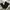 Japanese Brand Vintage Sportswear Casual Pants Pria Black
