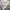 Japanese brand Casual Formal pants Pria cream photo 4