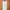 Casual Bodycon dress Wanita white photo 2