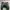 Dr. Martens Casual Boots Pria green photo 5