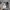 Nike Y2K Sportswear Sneakers Wanita white gray photo 7