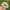Made in USA Vintage Streetwear Hat Pria white green photo 3