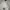 Burberry Casual Polo shirt Pria white photo 5