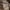Burberry Casual Polo shirt Pria white photo 4