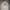 Burberry Casual Polo shirt Pria white photo 2