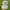 Hollister Vintage Sportswear Hat Pria Gray