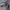 Sportswear Sneakers Pria gray blue photo 6