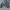 Sportswear Sneakers Pria gray blue photo 5