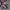 Descente Biker Pea coat Pria multicolor photo 1