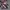 Descente Biker Pea Coat Pria Multicolor