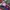 Descente Biker Pea coat Pria multicolor photo 4