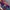Descente Biker Pea coat Pria multicolor photo 2