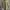 Tommy Hilfiger Casual Harrington jacket Pria green tan photo 1