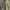 Tommy Hilfiger Casual Harrington Jacket Pria Green Tan