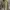 Tommy Hilfiger Casual Harrington jacket Pria green tan photo 3