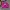 K2 Vintage Windbreaker Pria Pink