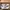 Adidas Y2K Casual Sneakers Pria white cream photo 1