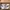 Adidas Y2K Casual Sneakers Pria White Cream