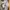 Adidas Y2K Casual Sneakers Pria white cream photo 8
