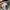 Adidas Casual Track jacket Pria tan photo 4