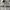 Adidas Casual Track jacket Pria tan photo 3